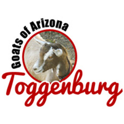 Toggenburg Goats of Arizona logo (image)